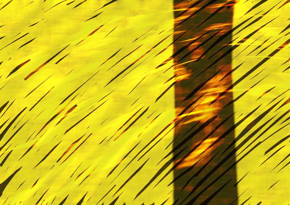 Nemeischer Löwe von Andreas Blümlein