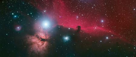 Horsehead and Flame Nebulae