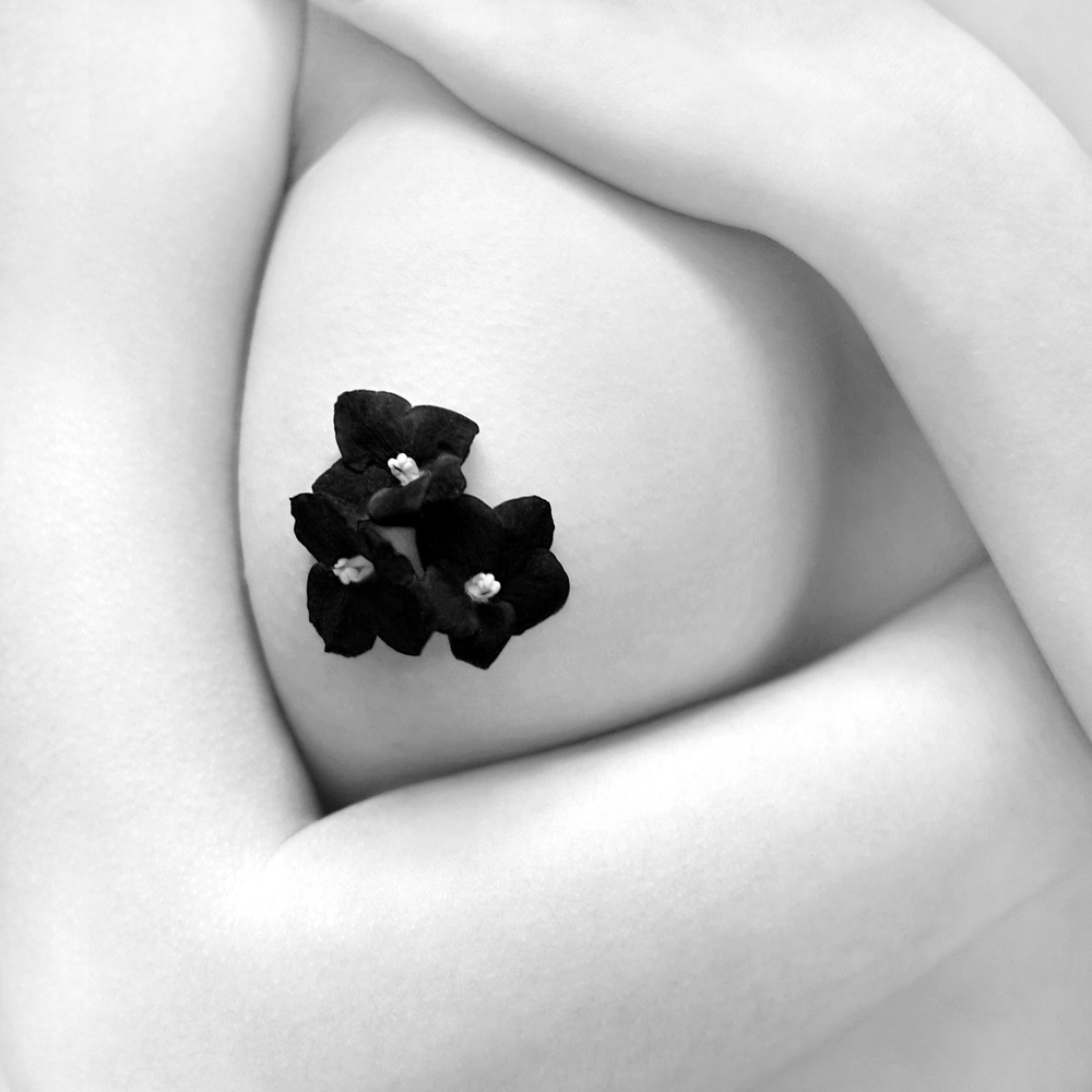 untitledl von Bobby Kostadinov