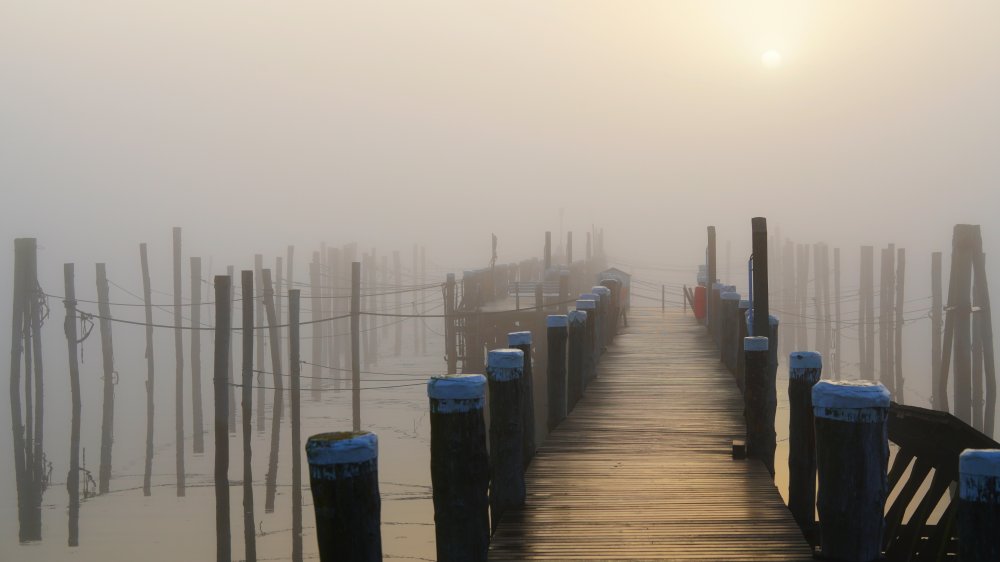 Golden fog at the lonely pier von Bodo Balzer