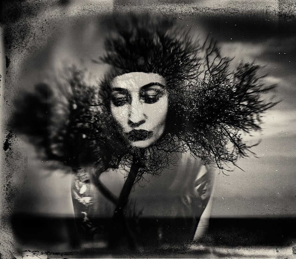 untitledl von Bogdan Bousca