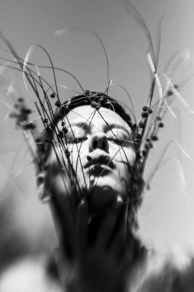 untitledl von Bogdan Bousca