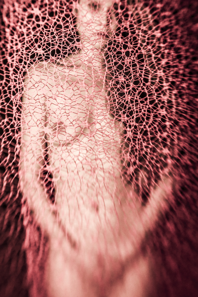 untitledl von Bogdan Bousca