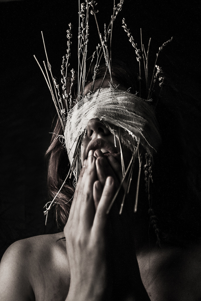 untitledl von Bogdan Bousca