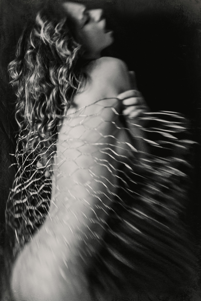 untitledl von Bogdan Bousca