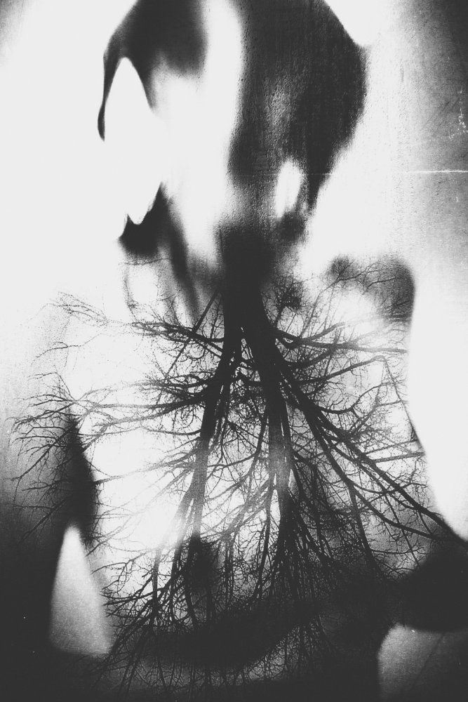 untitledl von Bogdan Bousca