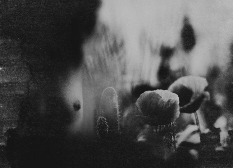 Untitled von Bogdan Bousca