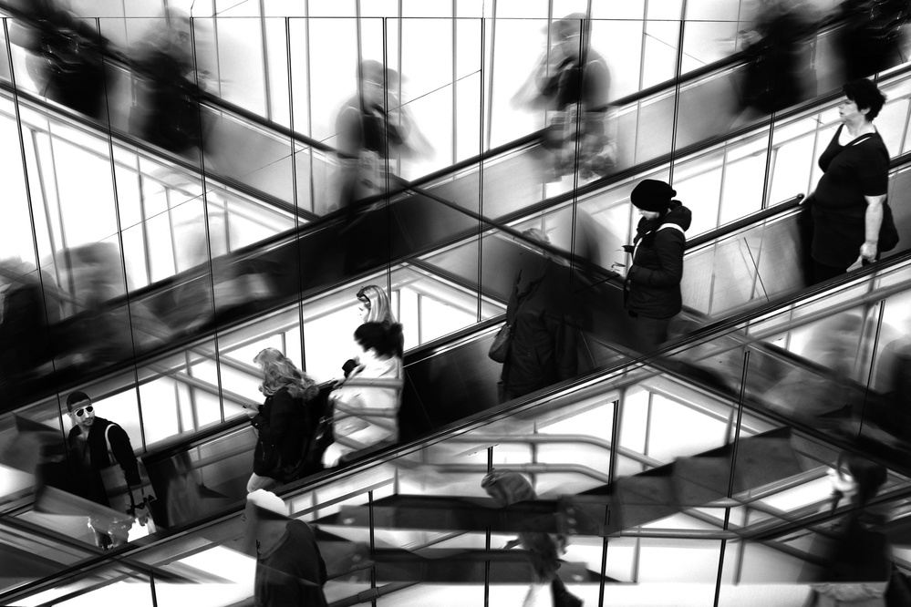 Suspicion von Boštjan Banfi