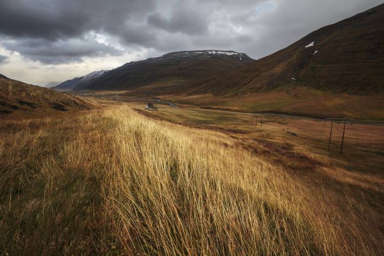 Autumnal von Bragi Ingibergsson