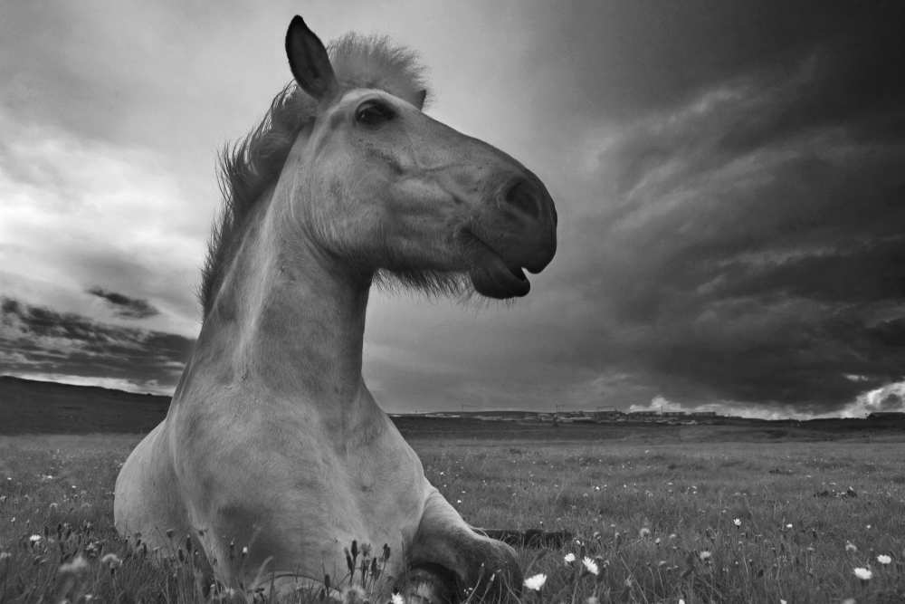 Moment in time von Bragi Ingibergsson