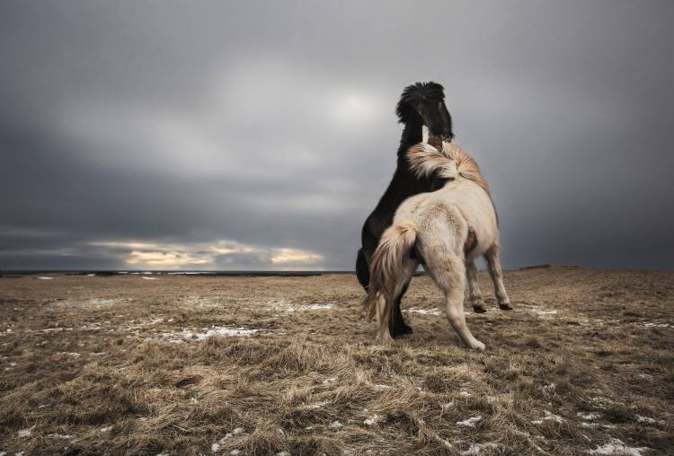 Play von Bragi Ingibergsson