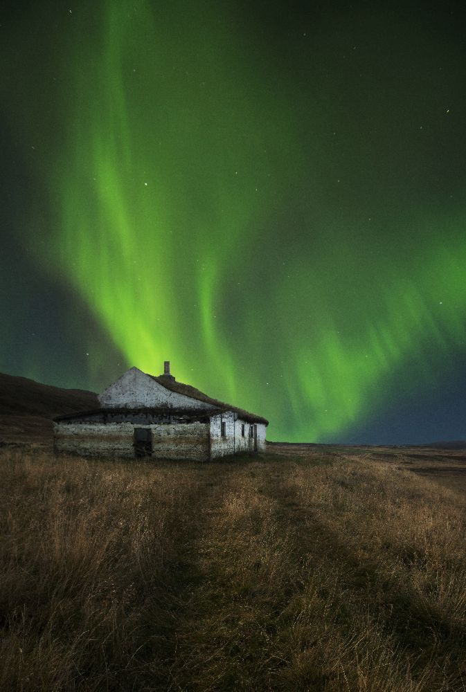 Selhagi von Bragi Ingibergsson