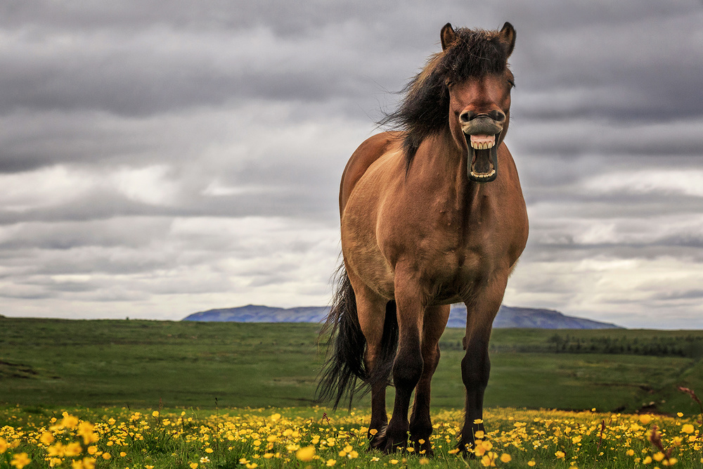 Mood IV von Bragi Ingibergsson - BRIN