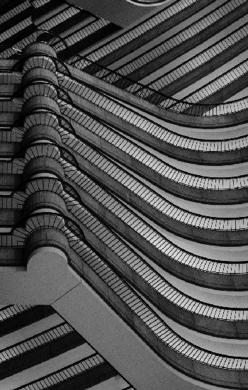 choose|your|own|path