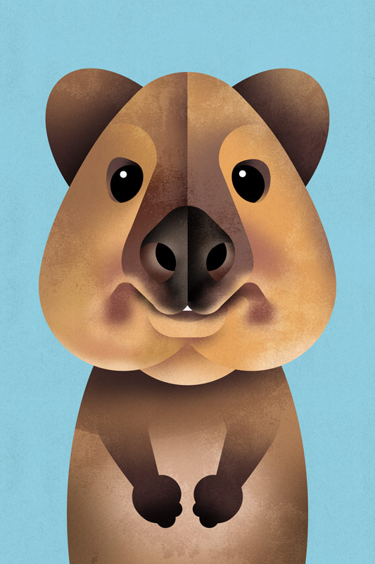 Quokka von Dieter Braun