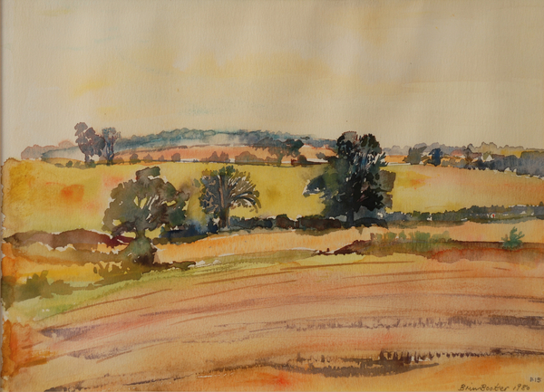 Suffolk Landscape von Brenda Brin  Booker