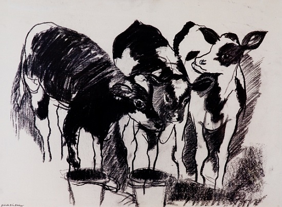 The New Calves von Brenda Brin  Booker