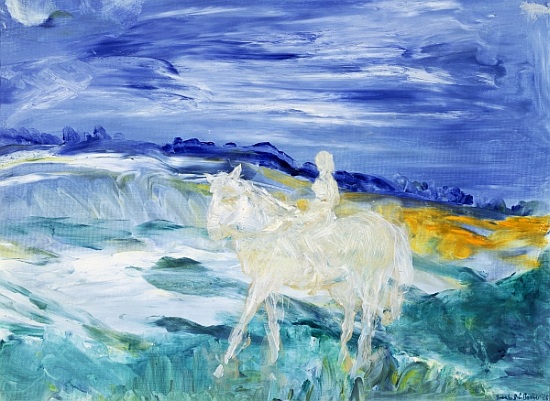 The Rider von Brenda Brin  Booker