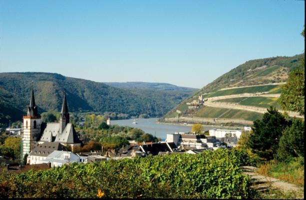 Bingen von Brian Eberle