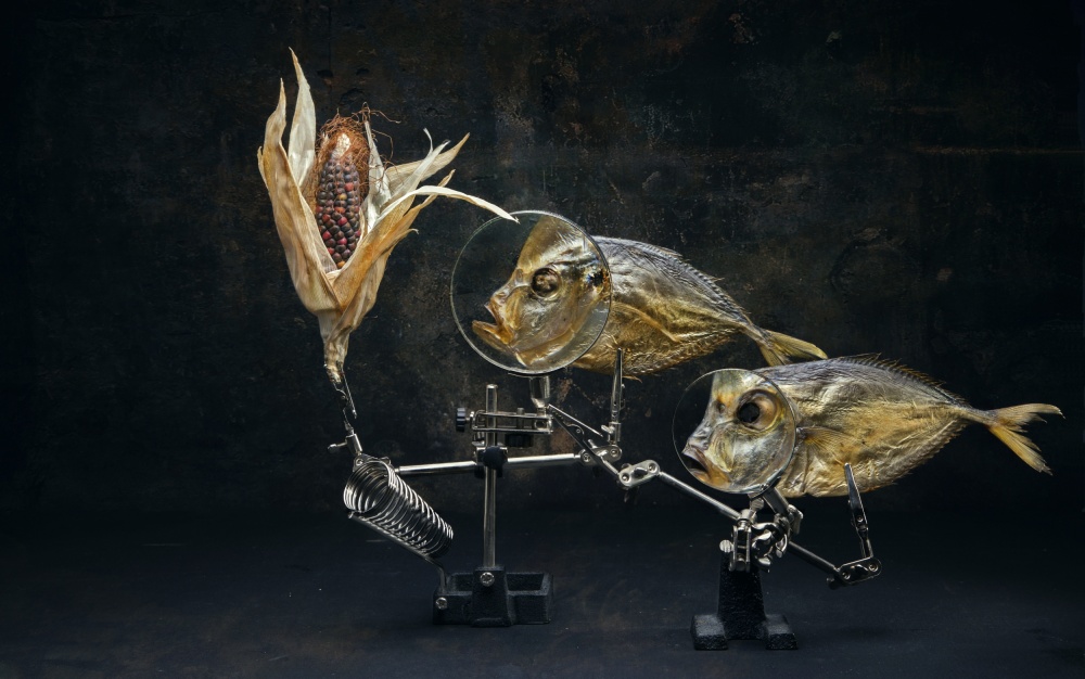 Fish and corn von Brig Barkow