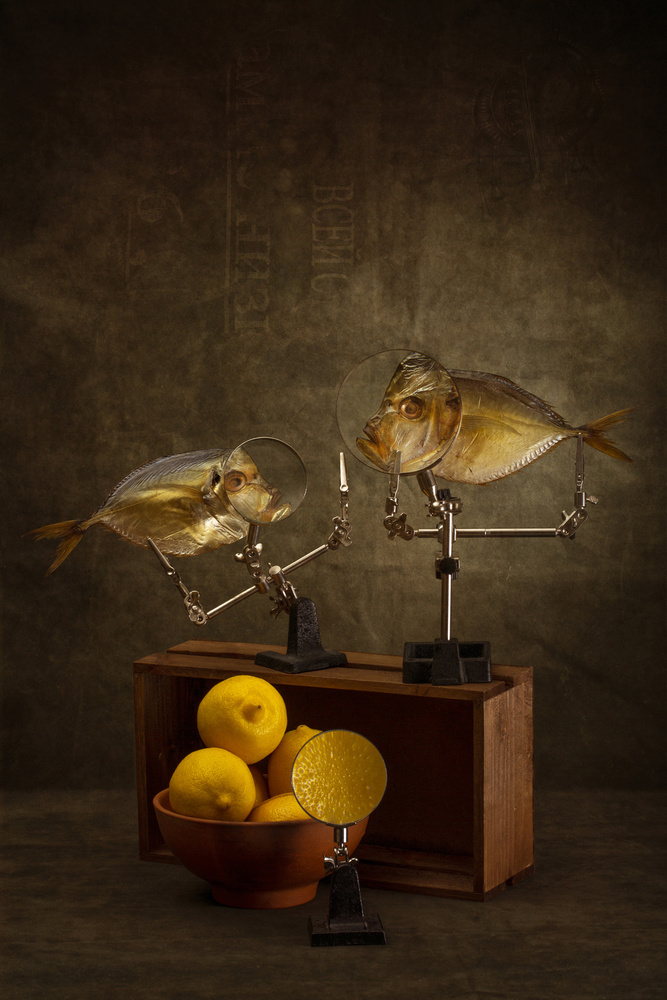 Conversation of two moon fish about the properties of lemons von Brig Barkow