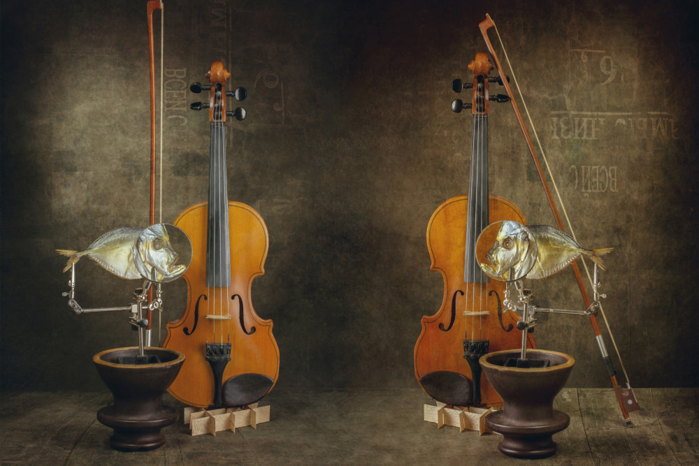 Concert von Brig Barkow