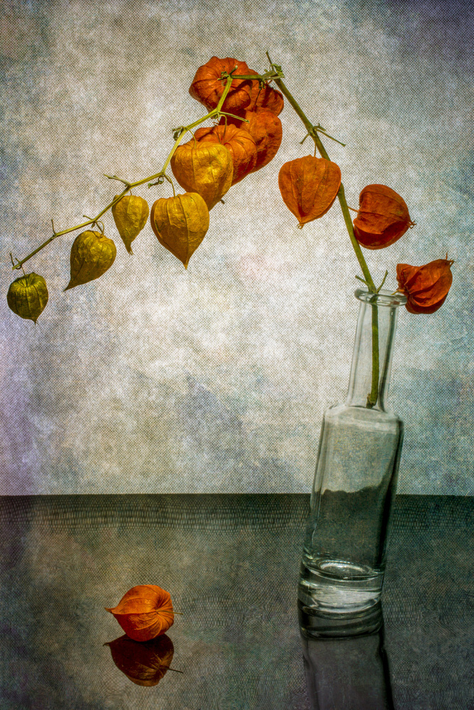 Still life with a branch of Physalis in a slanted bottle von Brig Barkow