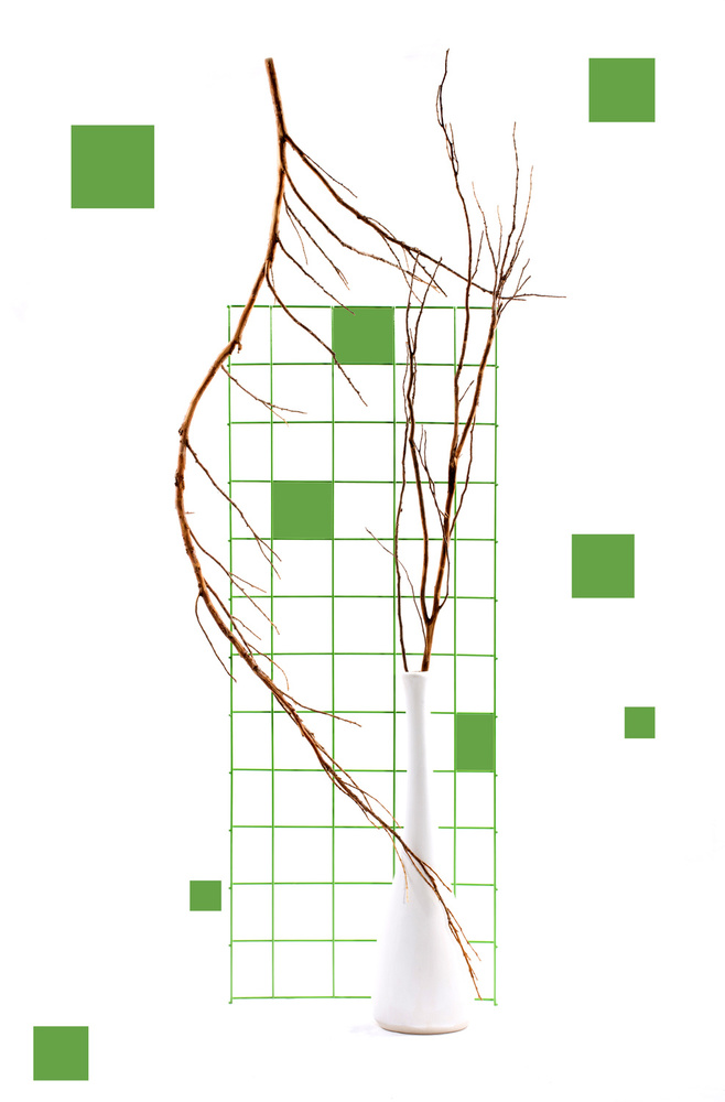 Still life with green squares von Brig Barkow