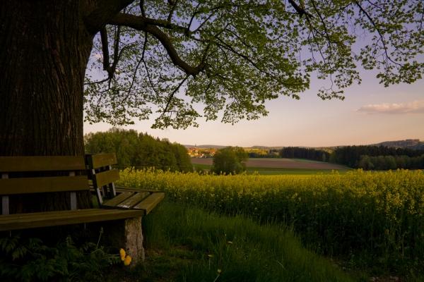 Abendruhe von Brigitte Götz