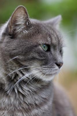 entspannt von Brigitte Götz