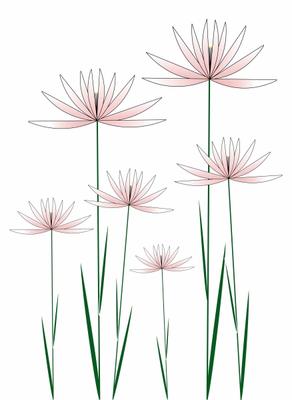 Lotus von Brigitte Götz