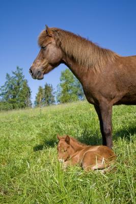 wachsame Mutter von Brigitte Götz