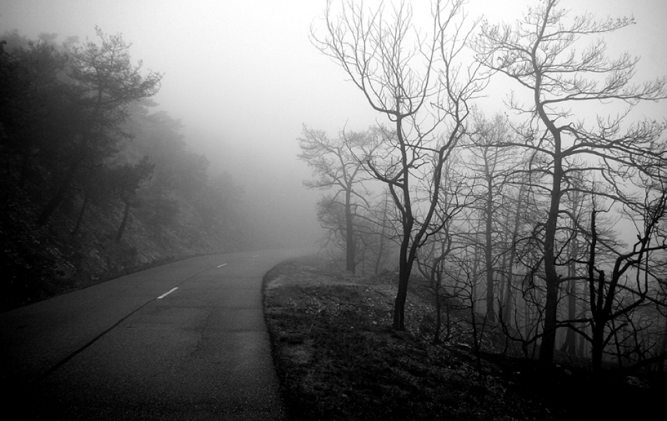 Into the mist von Bror Johansson