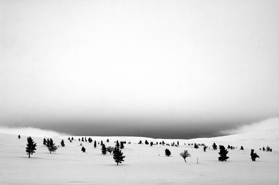 Wide open spaces von Bror Johansson