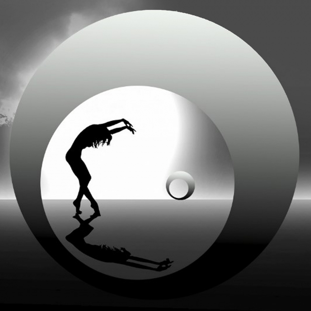 dance von Bruno Anselmi