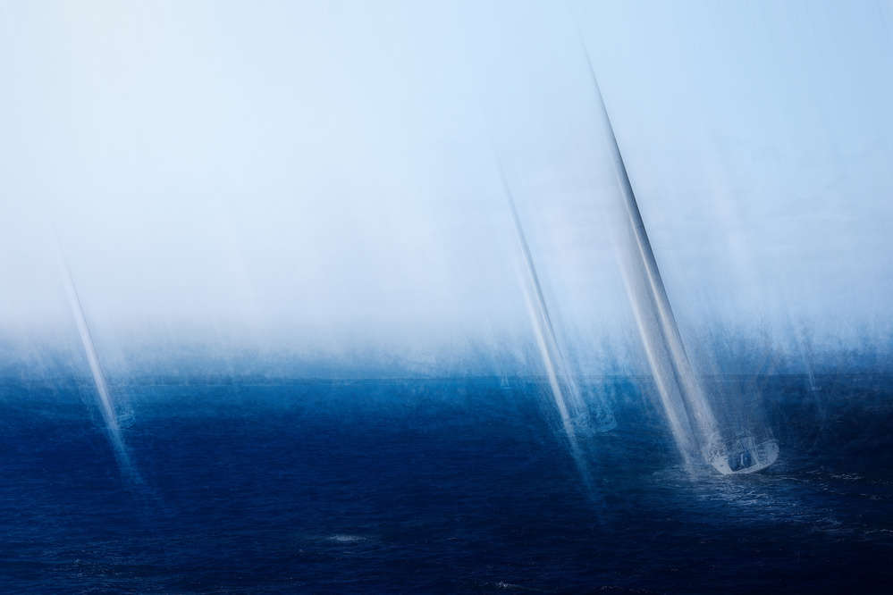 Freedom von Bruno Flour