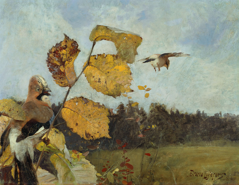 Tölpel von Bruno Andreas Liljefors