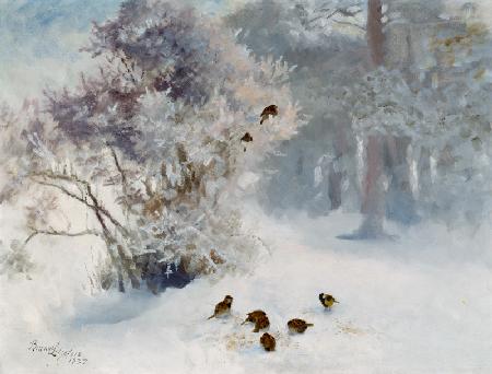 Vogelfütterung im Schnee