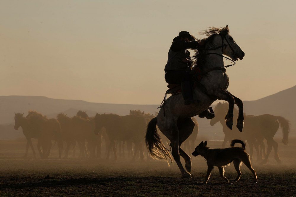 Rebel... von BÜLENT DURTAŞ
