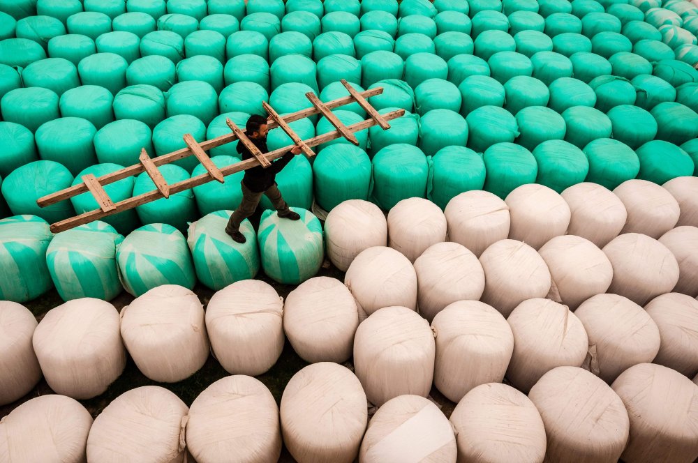 Yem torbaları von Burak Türk