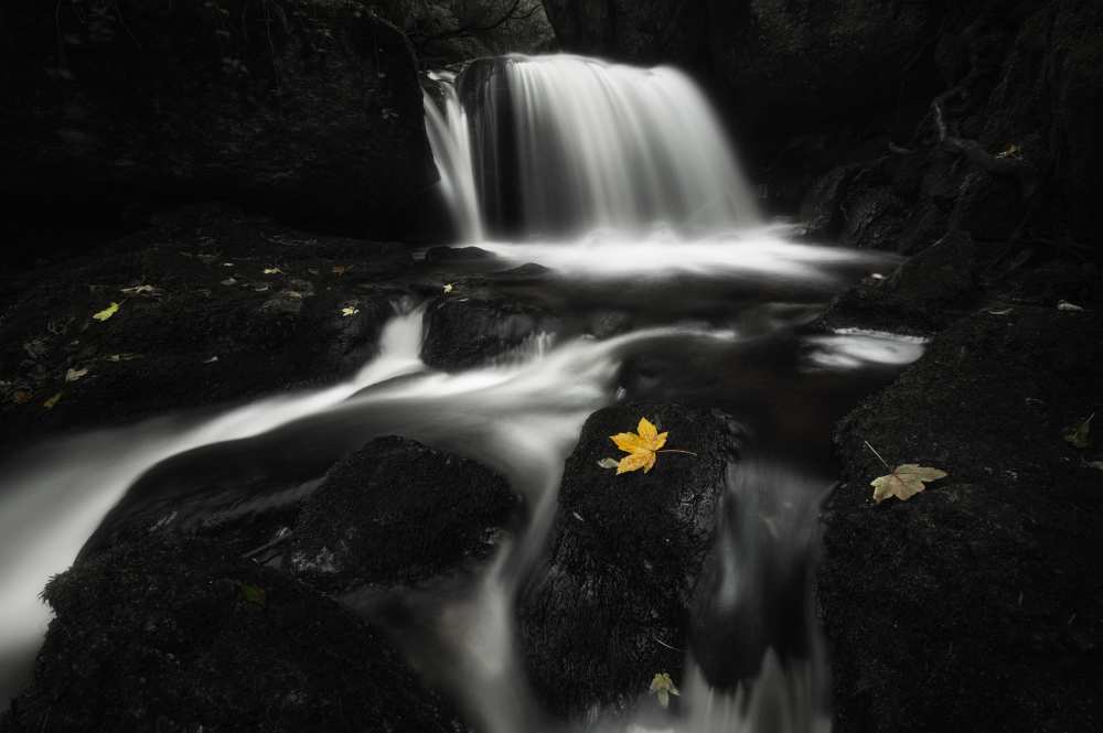 after von Burger Jochen