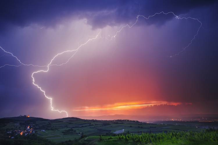 Elegance von Burger Jochen