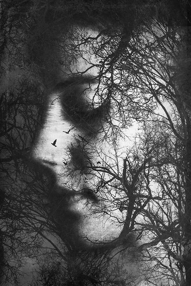 Waldgedanken von Byka Artography