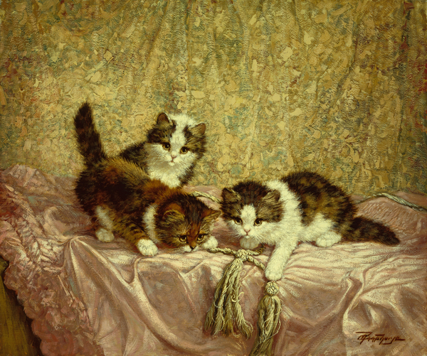 Playful Kittens von C. Raaphorst