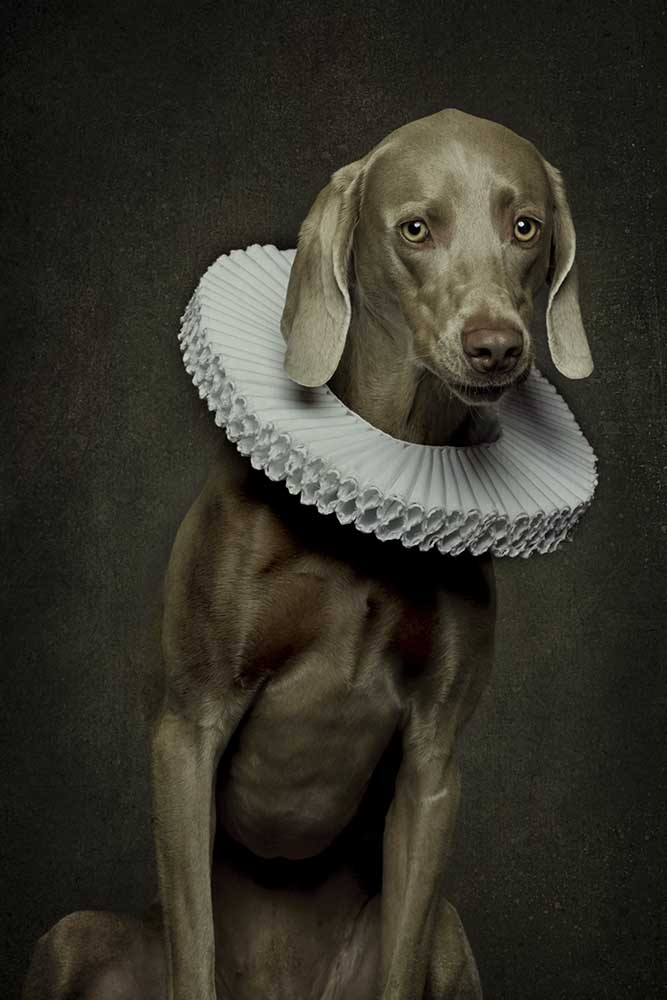 Roos von Carine Belzon