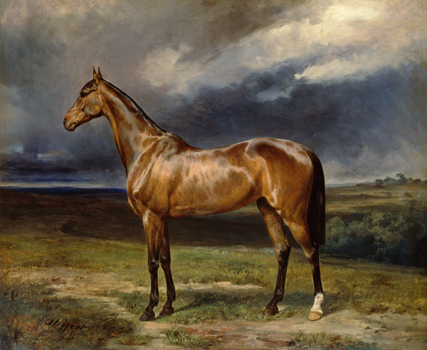 'Abdul Medschid' the chestnut arab horse von Carl Constantin Steffeck