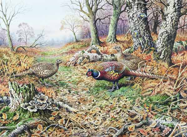 Pheasants with Blue Tits  von Carl  Donner