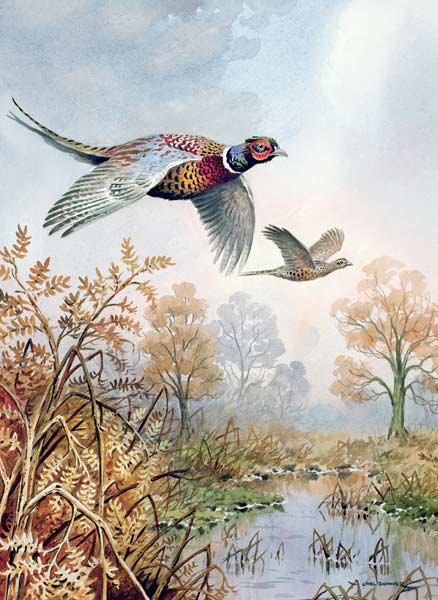 Over the Fen  von Carl  Donner