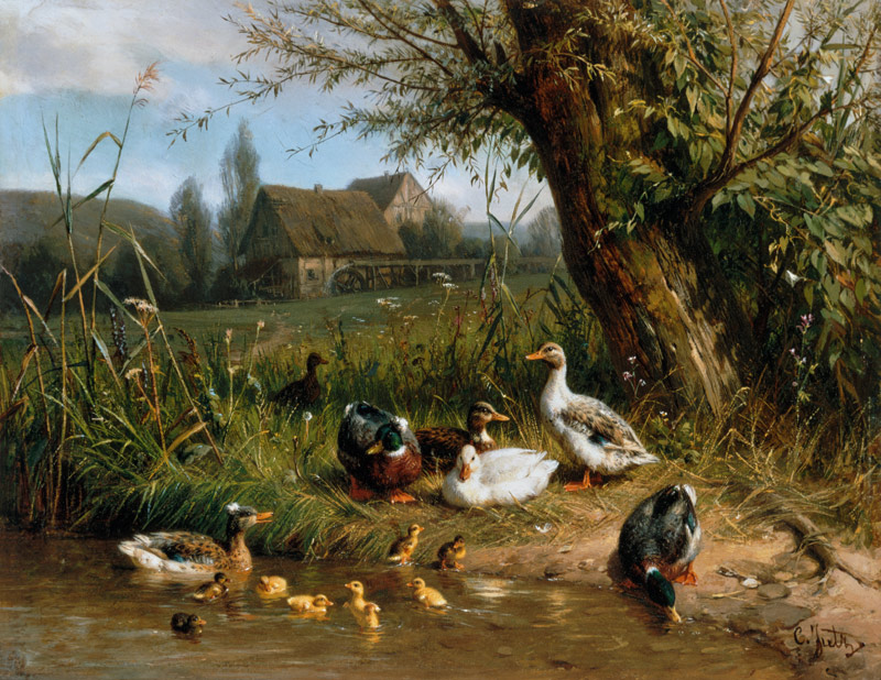 Enten mit Küken am Wasser von Carl Jutz