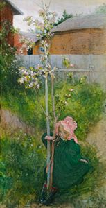 Apfelblüte (Appelblom) von Carl Larsson